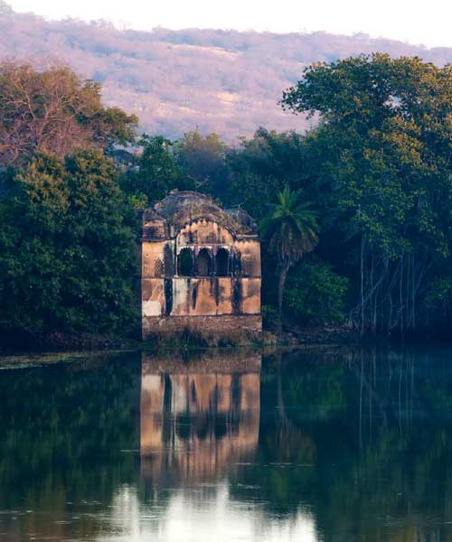 Car Hire Ranthambore